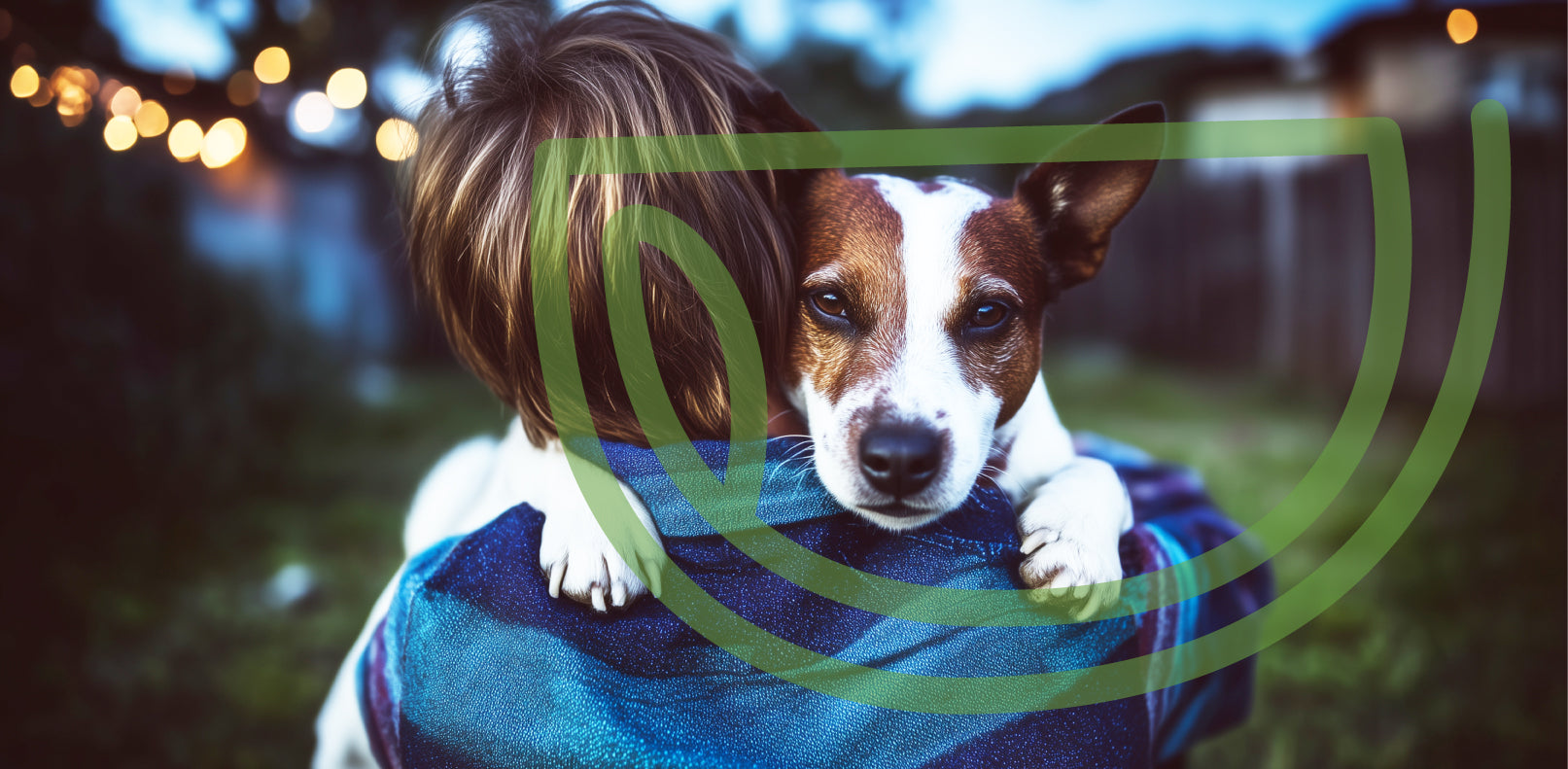 betrbowl, by Pet Planet