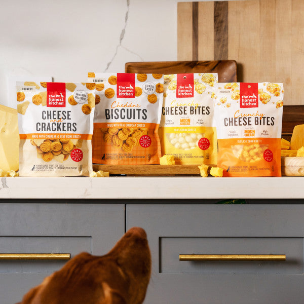 betrbowl, by Pet Planet