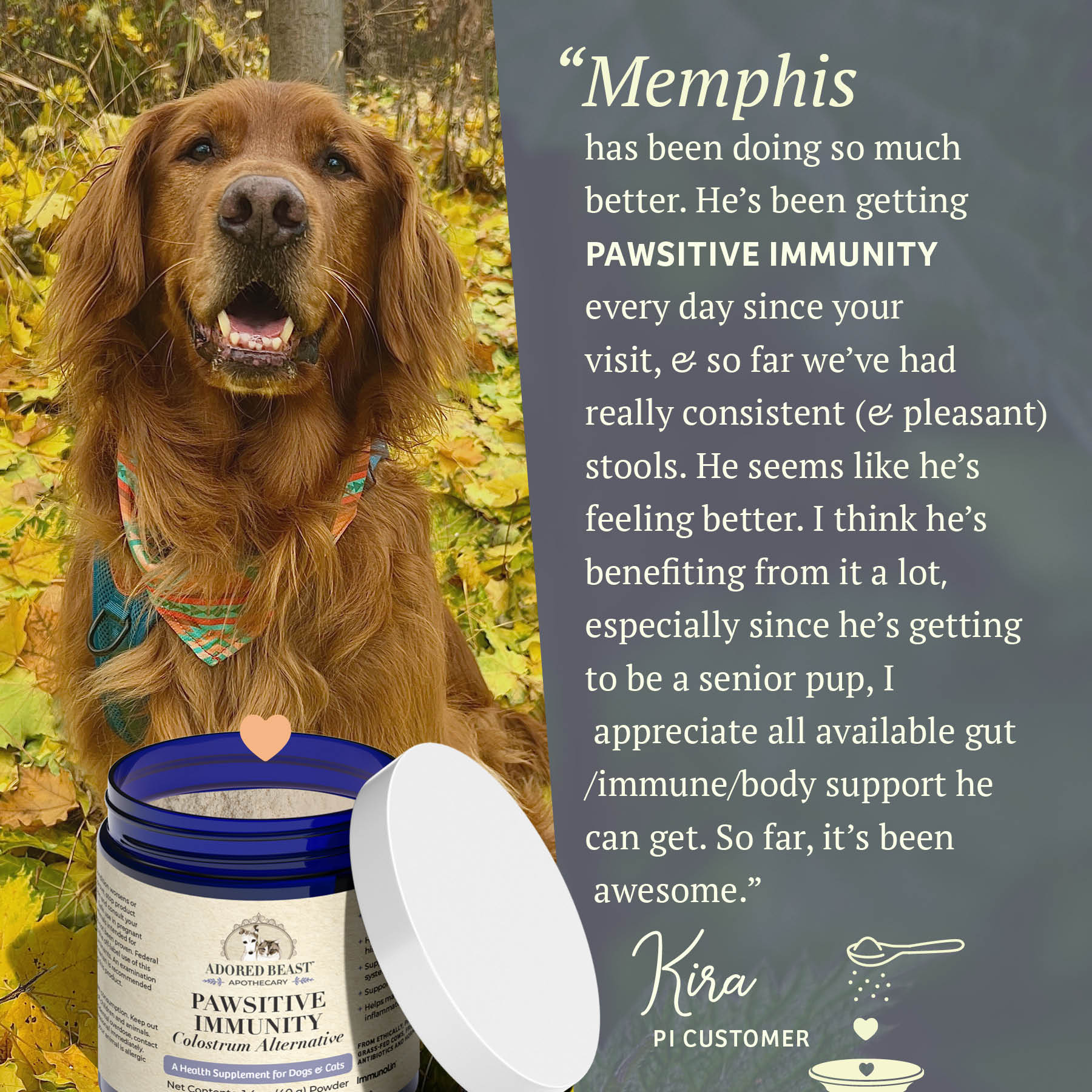 Adored Beast - Pawsitive Immunity