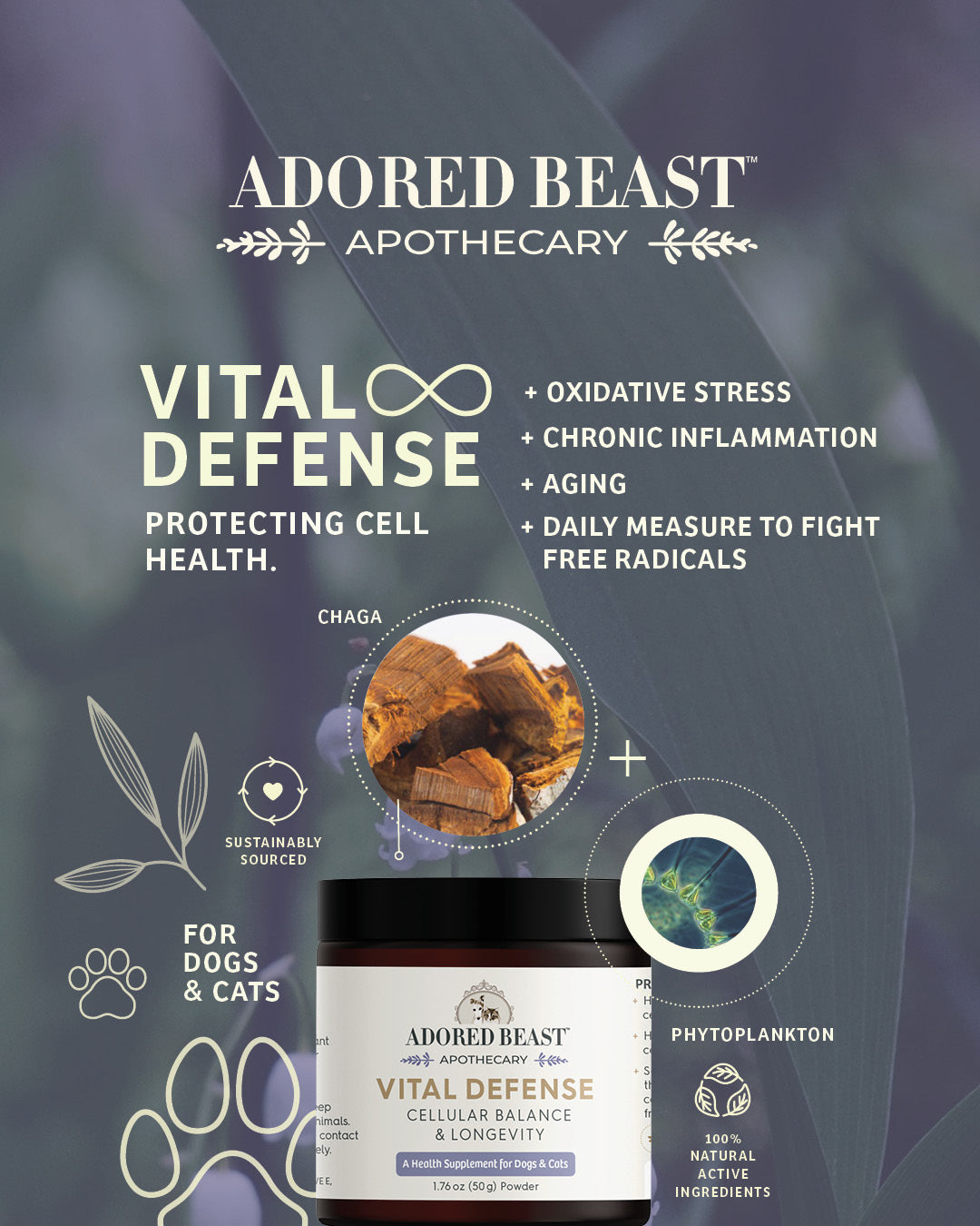 Adored Beast - Vital Defense
