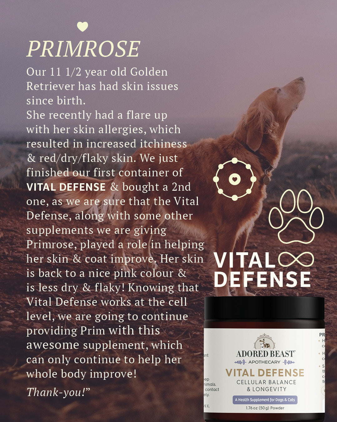 Adored Beast - Vital Defense