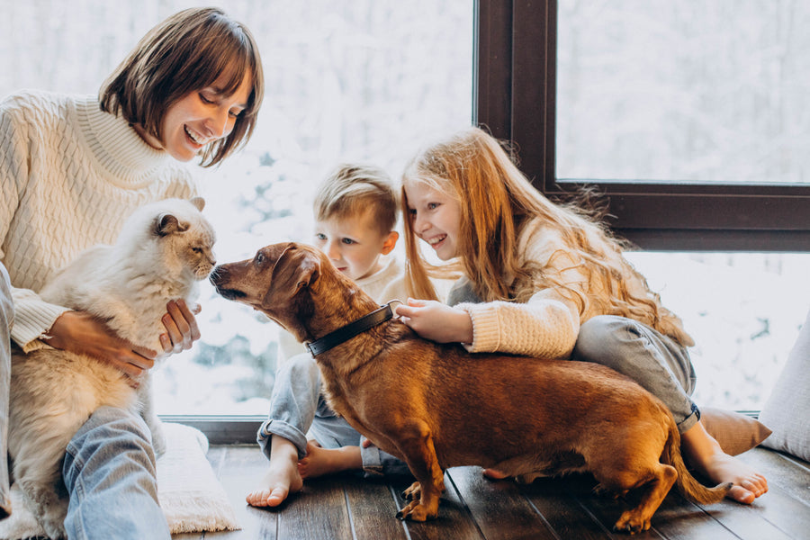 betrbowl — your pet's health is our life's work
