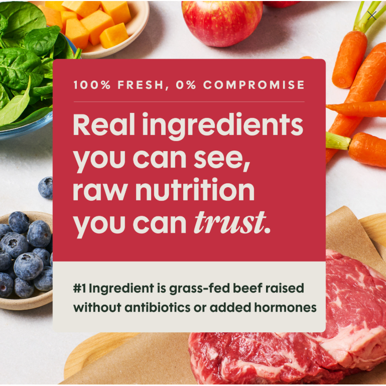 Instinct Fresh Raw Beef