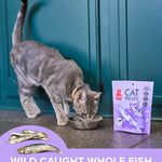 Plato Air Dried Baltic Sprat Cat Treats