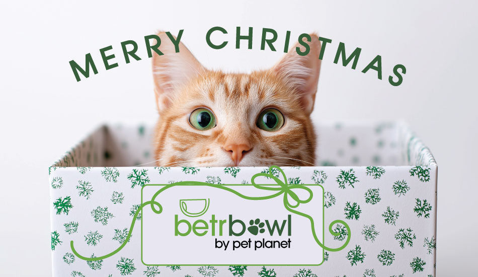 BetrBowl by Pet Planet Gift Card