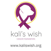 Donation - KONG for Pets with Cancer