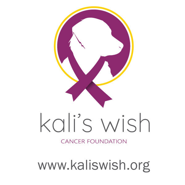 Donation - KONG for Pets with Cancer