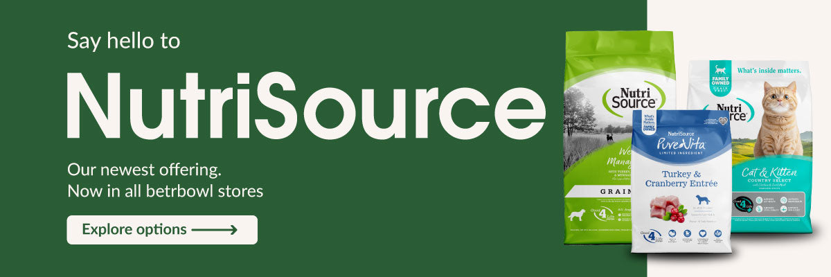 betrbowl, by Pet Planet