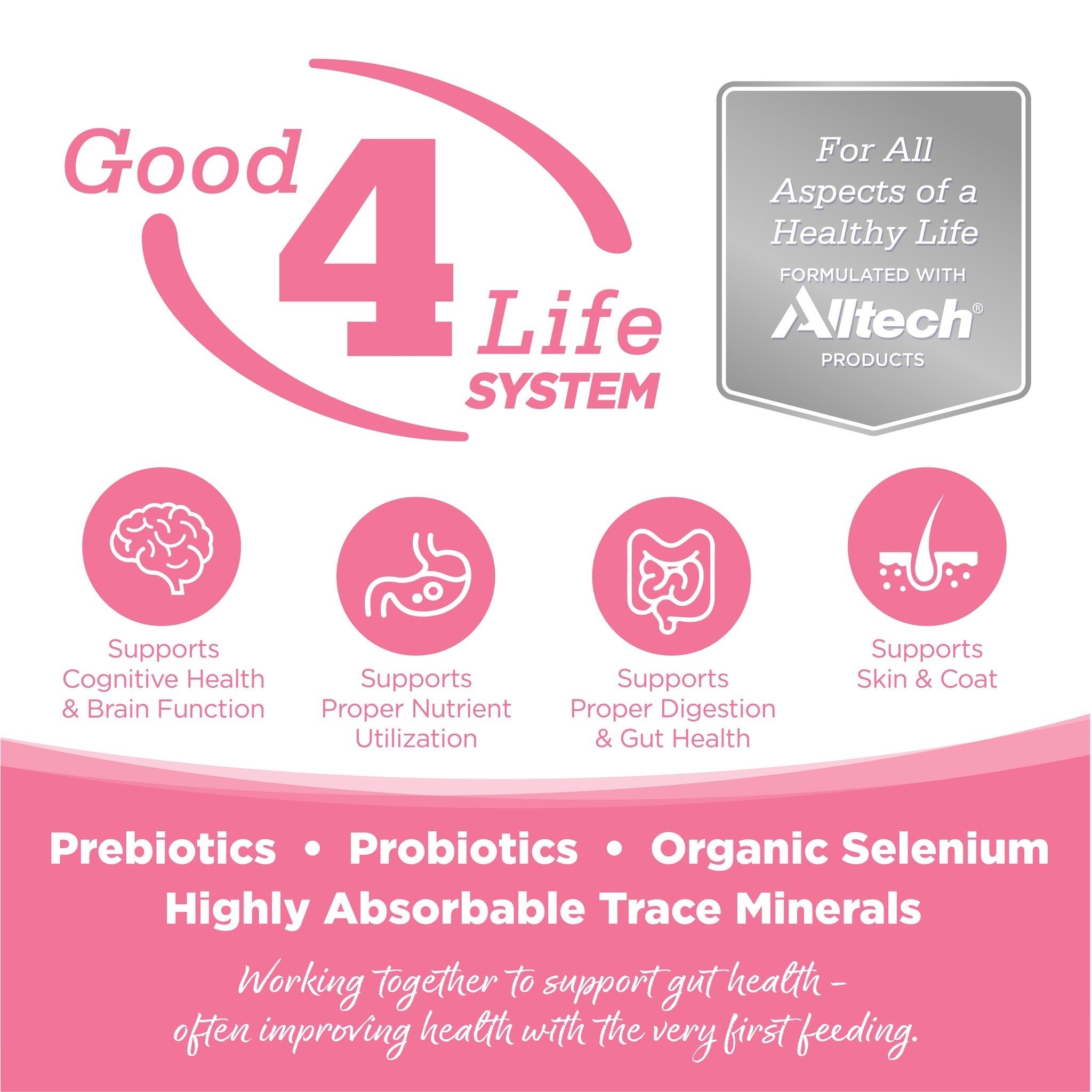 Pure Vita Salmon & Peas Grain-Free Dry Dog Food 25lb