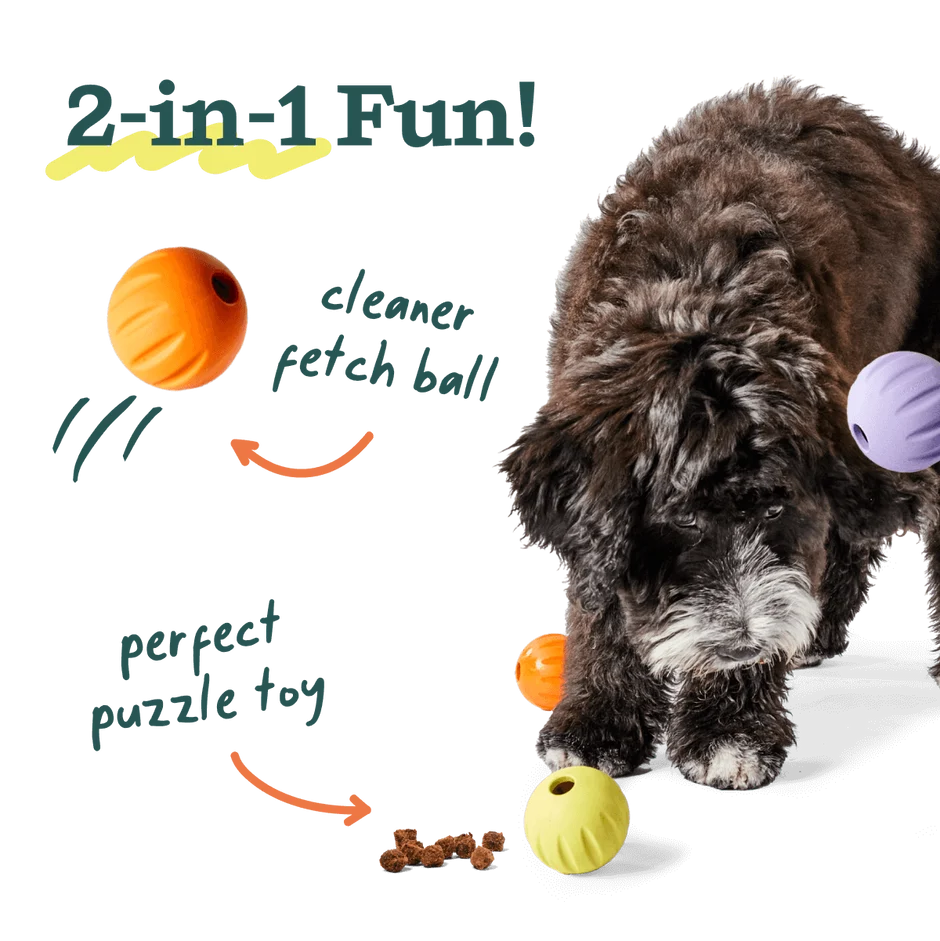 WOOF FlyBall Single Lavender Color