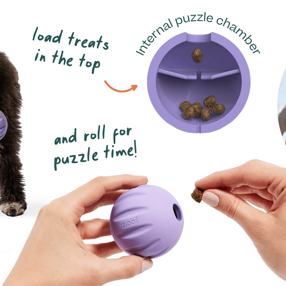 WOOF FlyBall Single Lavender Color