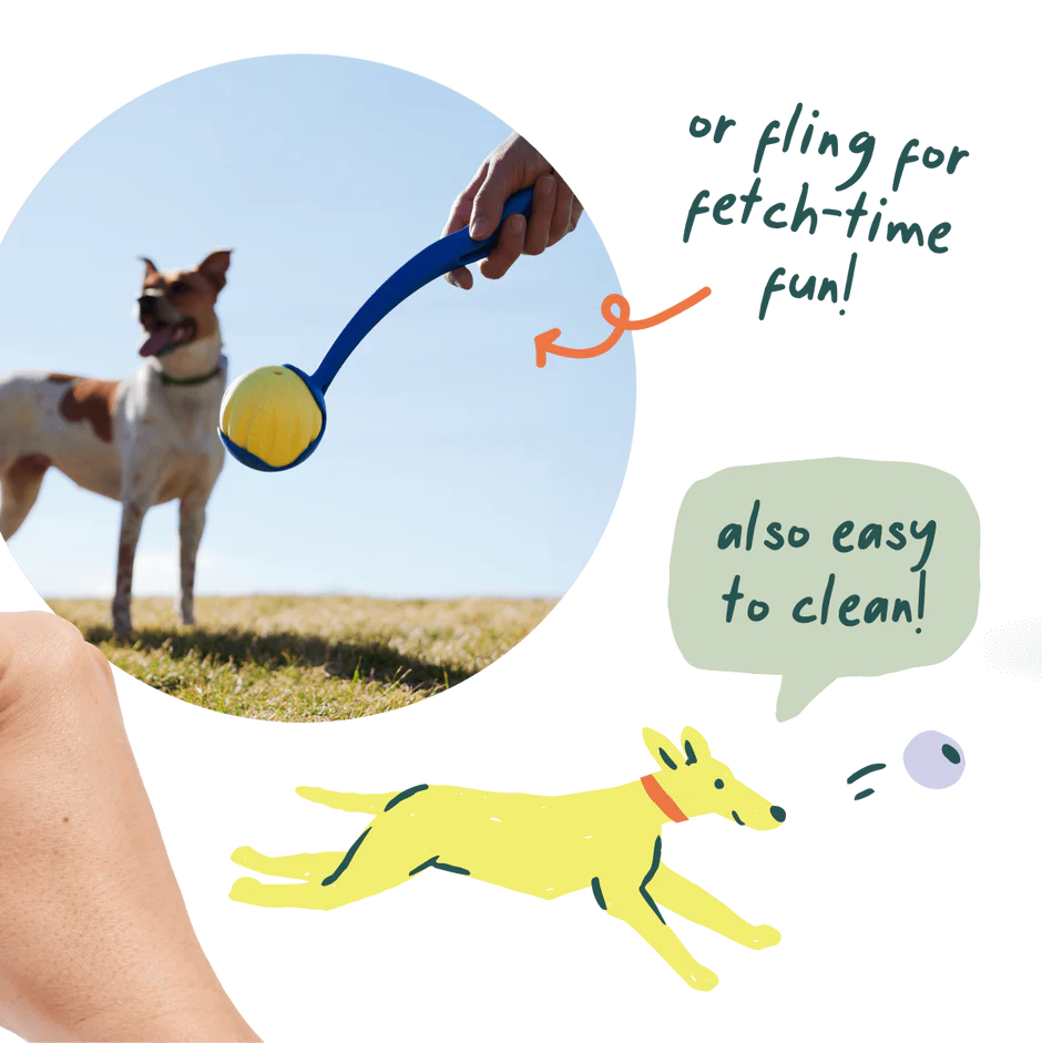 WOOF FlyBall Single Lavender Color