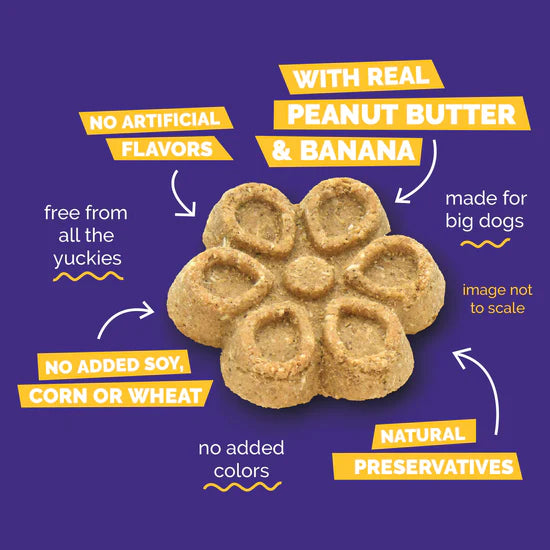 Fruitables - Biggies Peanut Butter & Banana