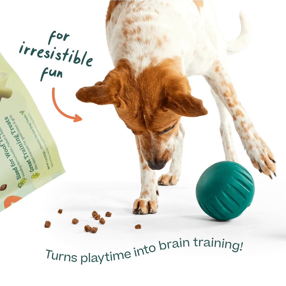 WOOF Puzzle Treats Beef 5oz