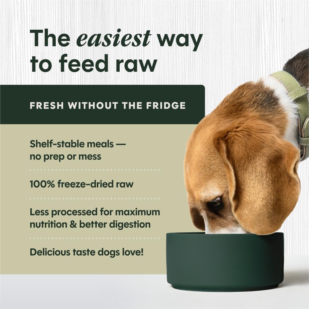 Instinct - Freeze Dried Beef for Dogs 14oz