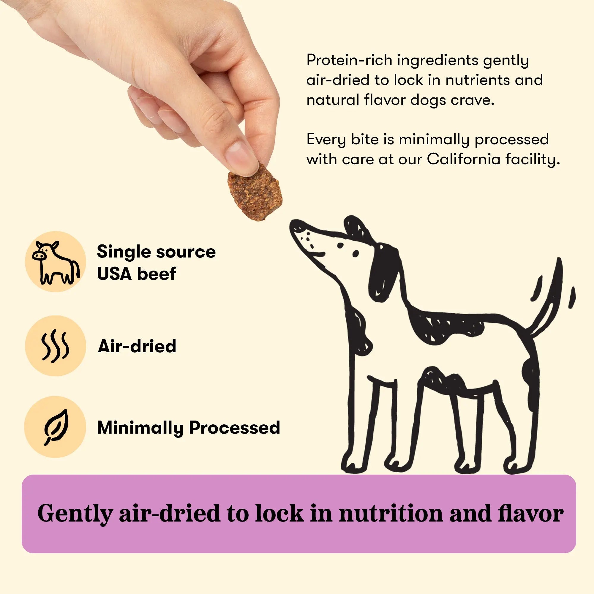 Plato Beef & Bone Broth Jerky Bites