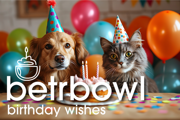 betrbowl, for pets