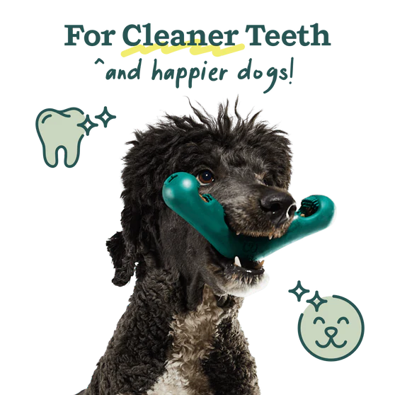WOOF Bite n' Brush