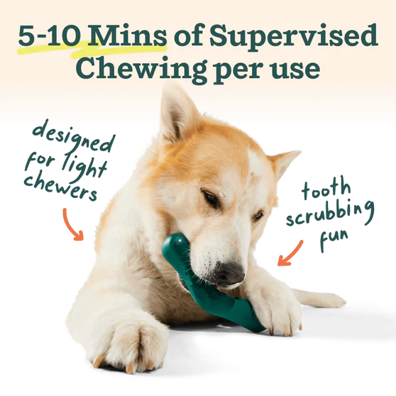 WOOF Bite n' Brush