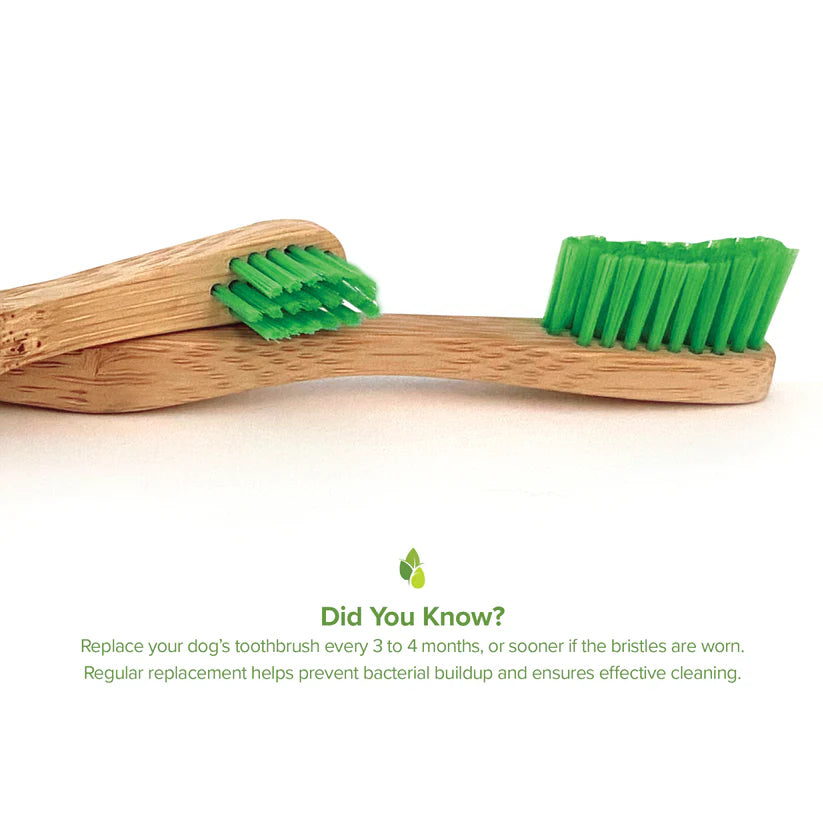 P&NP - Bamboo Dental Brush