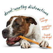 WOOF BullySafe Collagen Sticks 12"