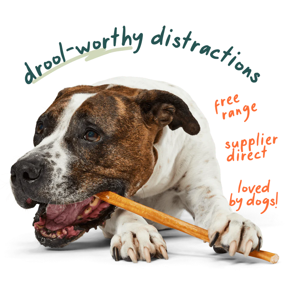 WOOF BullySafe Collagen Sticks 12"