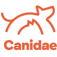 betrbowl, by Pet Planet