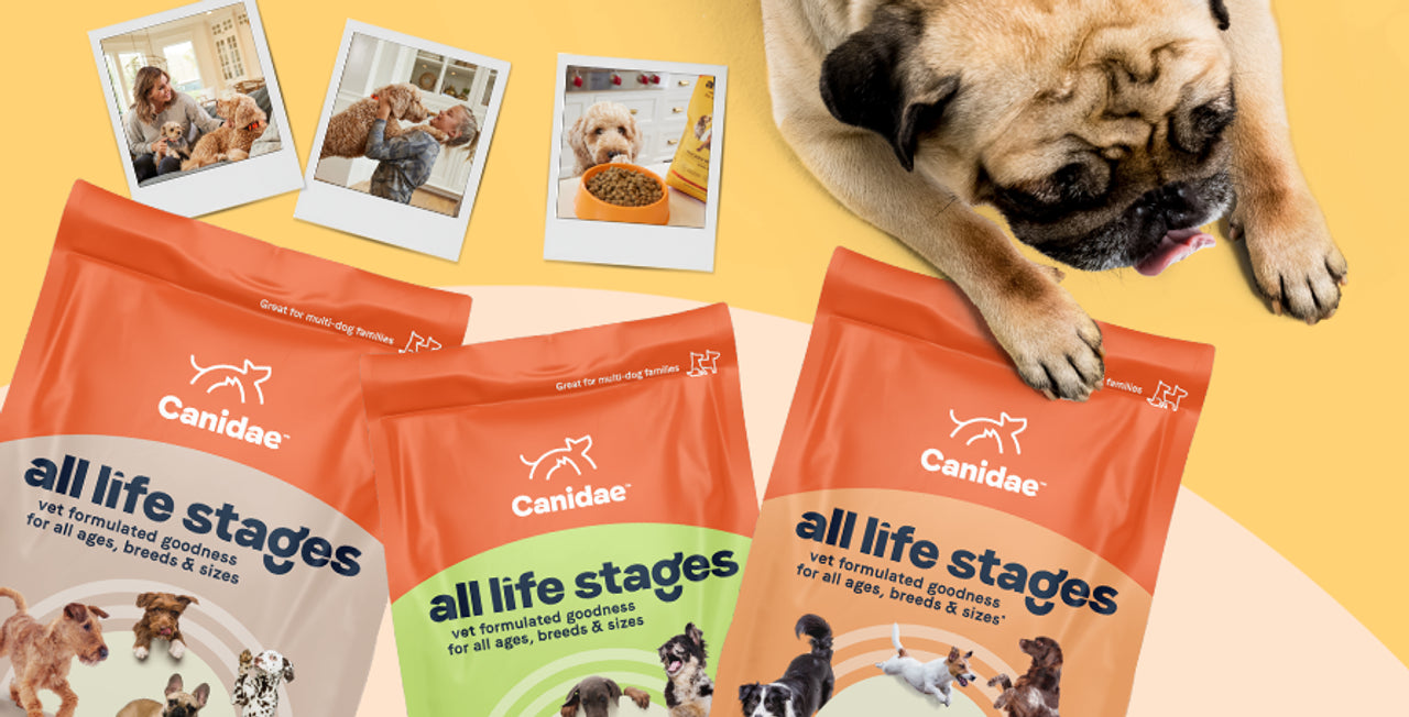 betrbowl, by Pet Planet