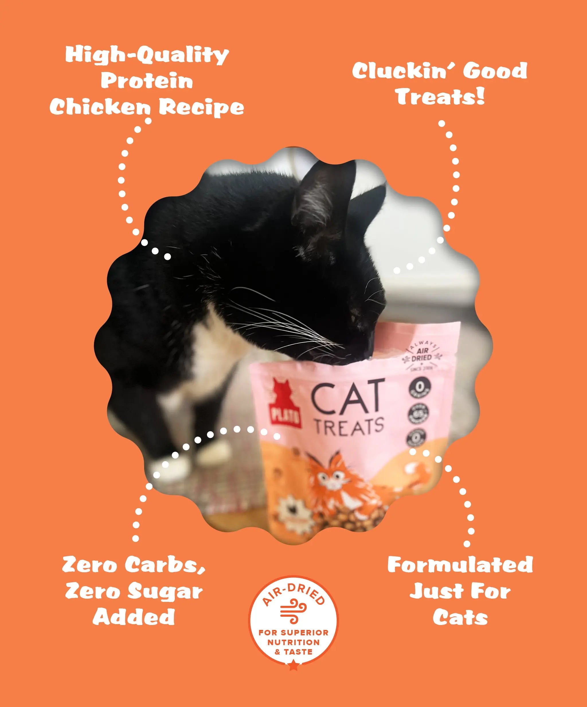 Plato Air Dried Chicken Cat Treats