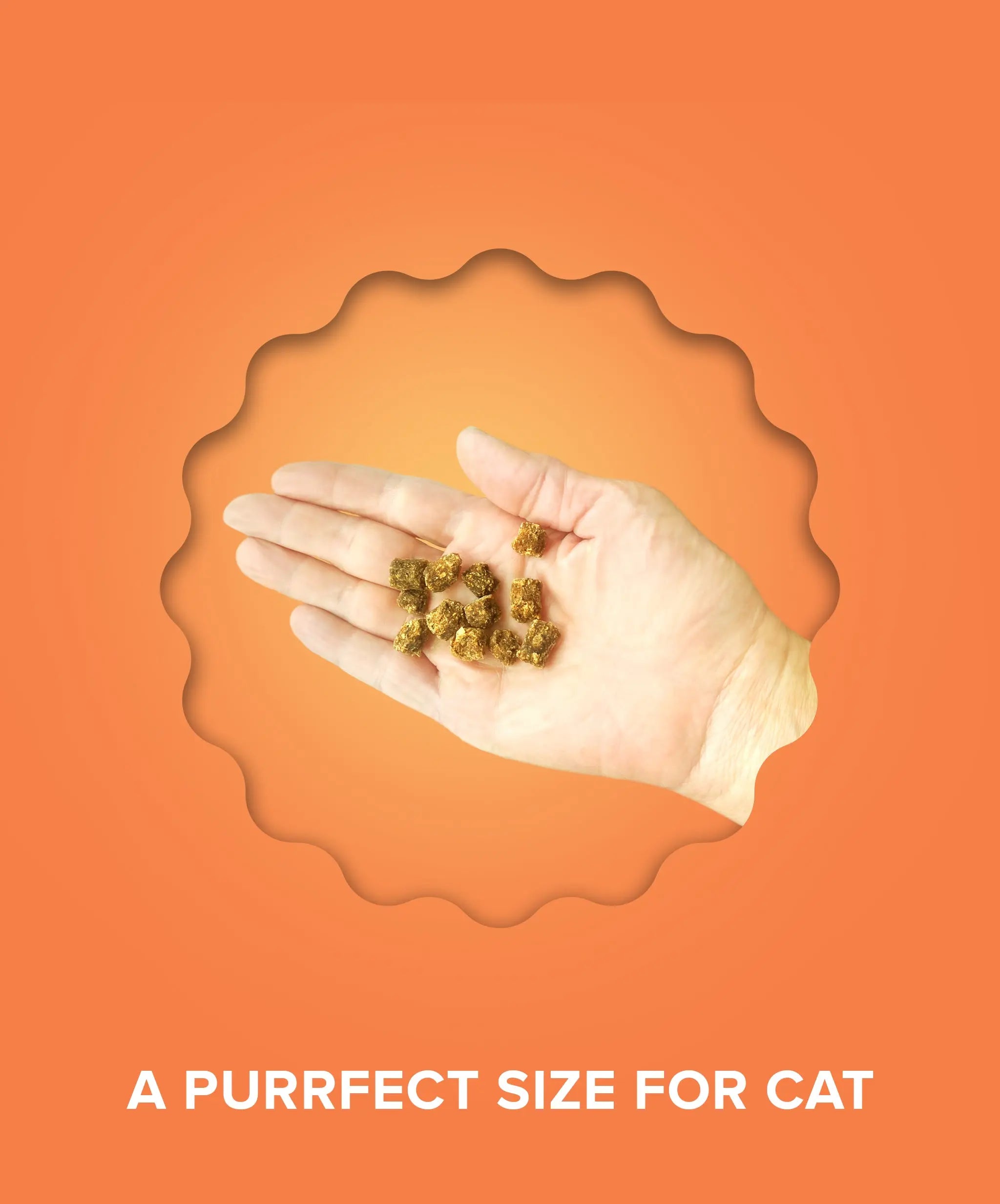 Plato Air Dried Chicken Cat Treats
