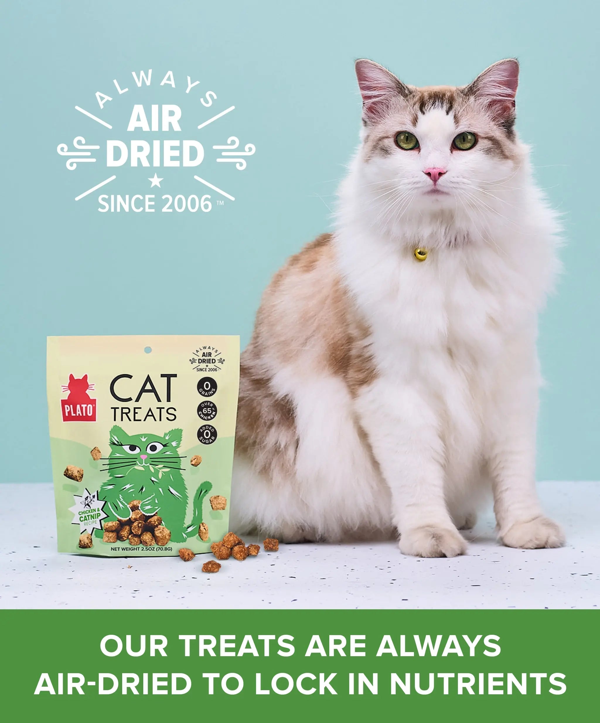 Plato Cat Air Dried Chicken & Catnip Treats