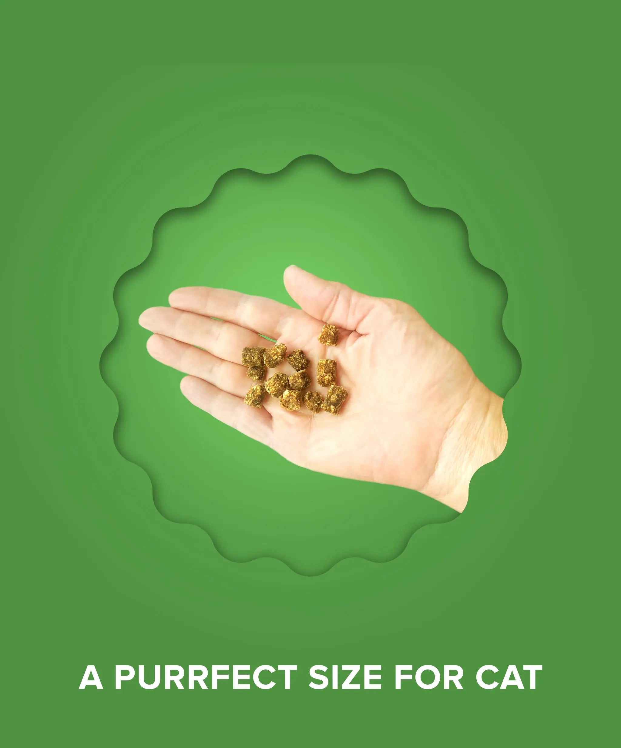 Plato Cat Air Dried Chicken & Catnip Treats