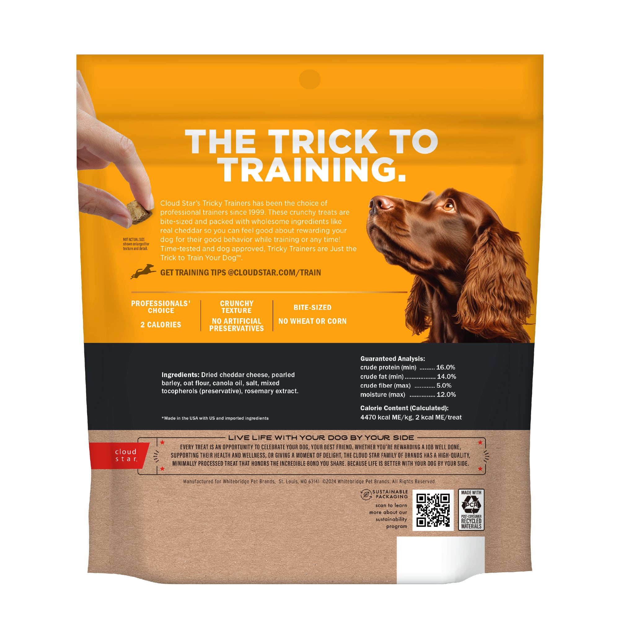 Tricky Trainer - Dog Crunchy Trainer Cheddar