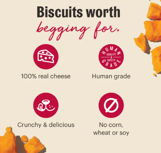 The Honest Kitchen Cheddar Biscuits