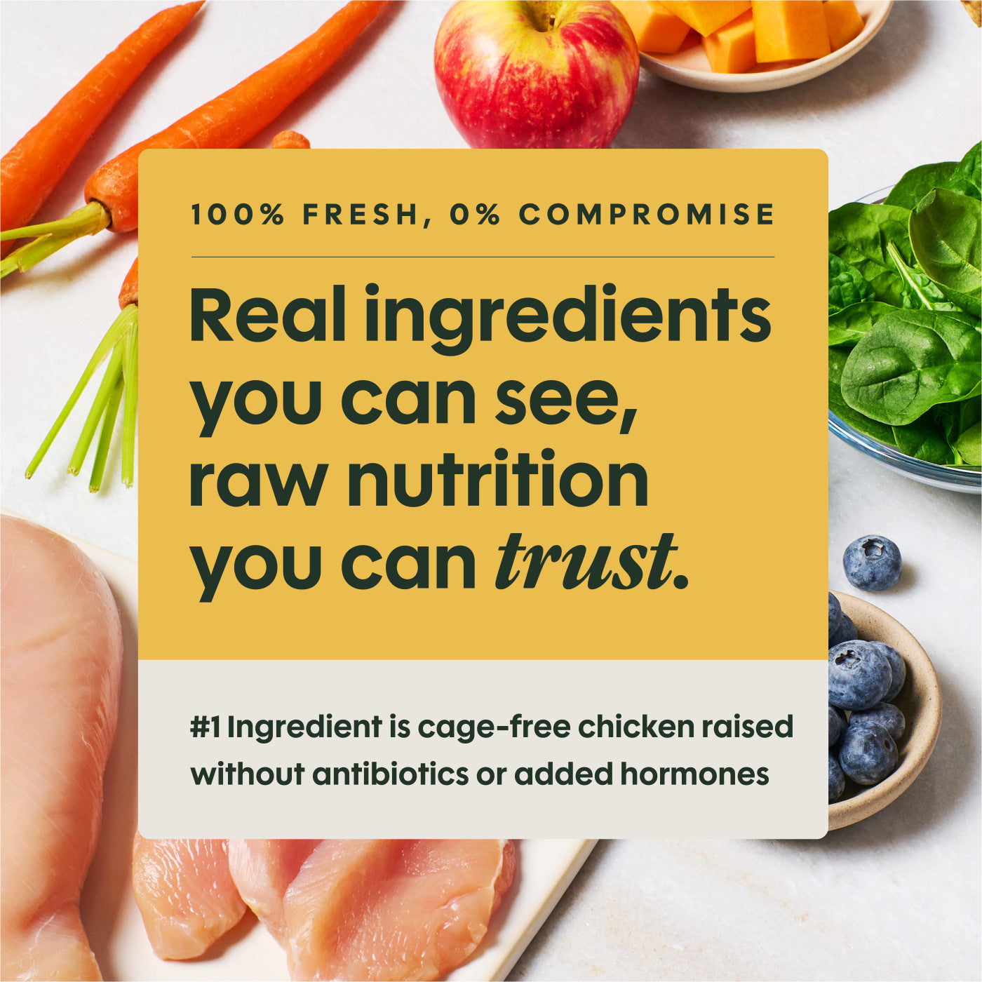 Instinct Fresh Raw Chicken