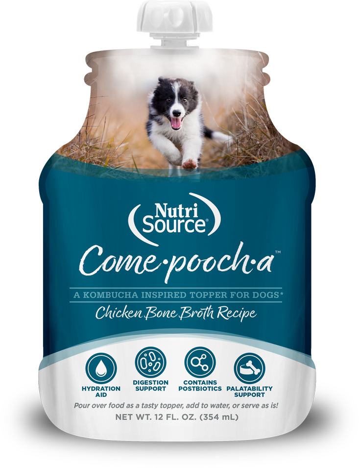 NutriSource Come-Pooch-A Chicken Broth 12oz