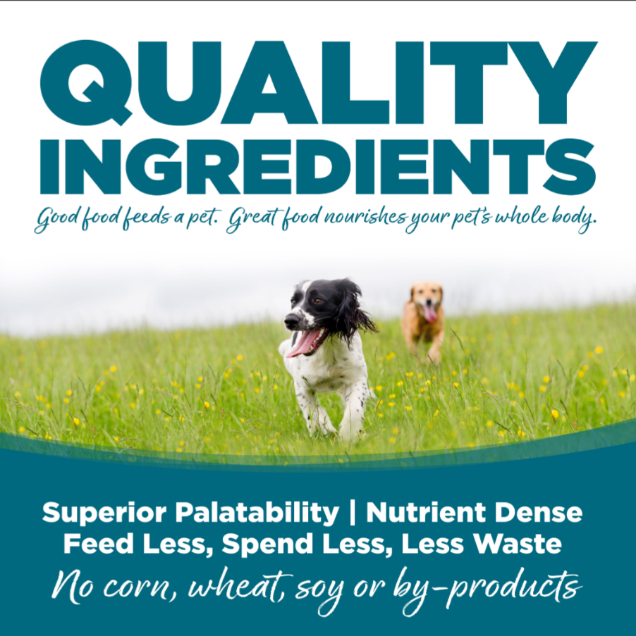 NutriSource Adult Chicken & Rice Small Bites Dry Dog Food 4lb