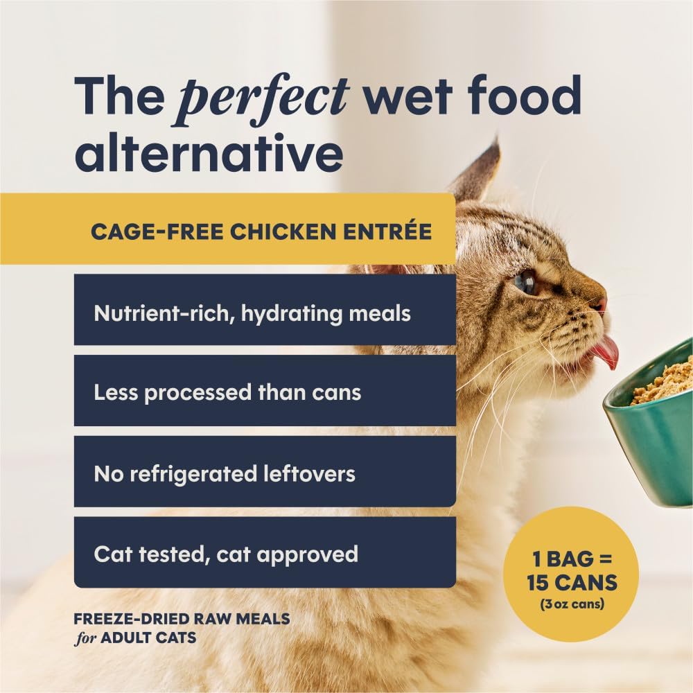 Instinct - FreshDried Pates Chicken for Cats 3oz