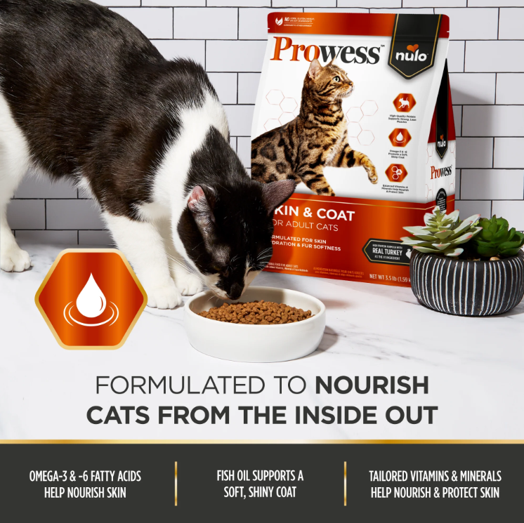 Nulo Prowess Skin & Coat Turkey Recipe for Cats