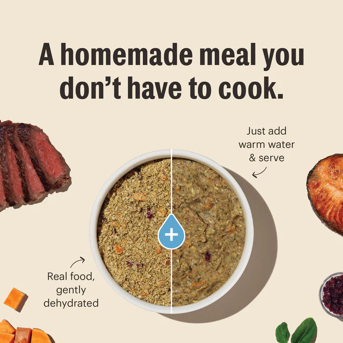 Beef & Whole Grain Box