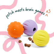 WOOF FlyBall 3 Pack