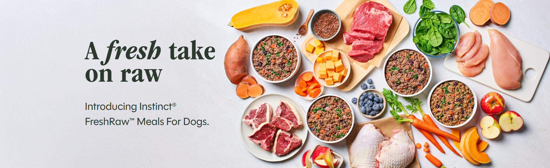 betrbowl, by Pet Planet