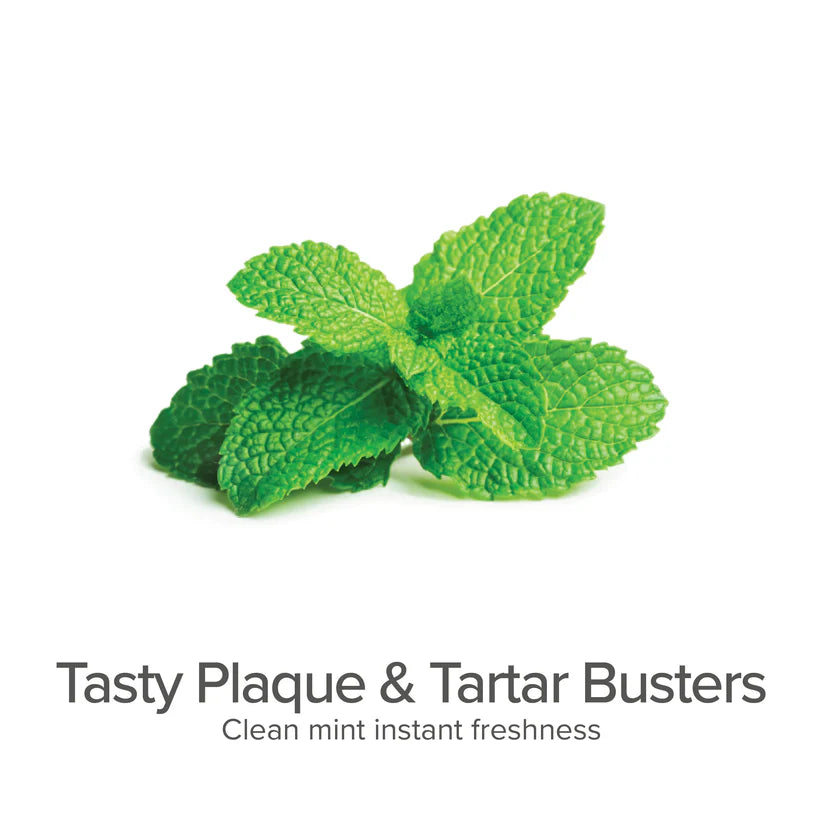 P&NP - Plaque & Tartar Control Breath Spray