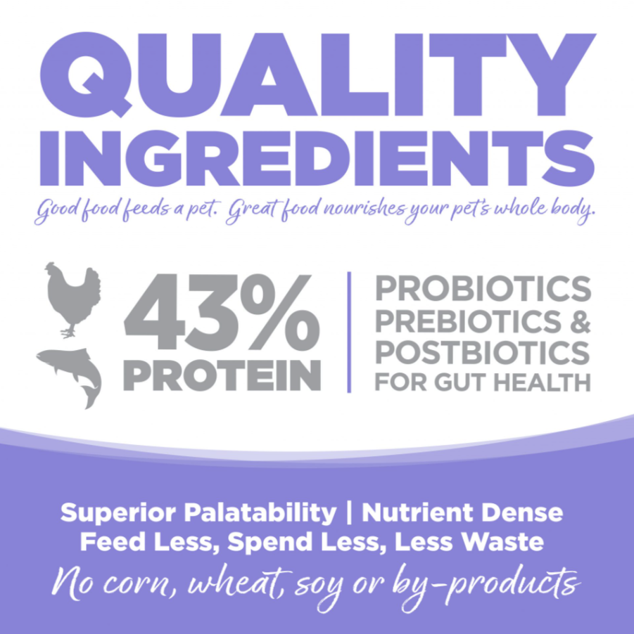 NutriSource Kitten Chicken & Salmon Grain-Free Dry Cat Food