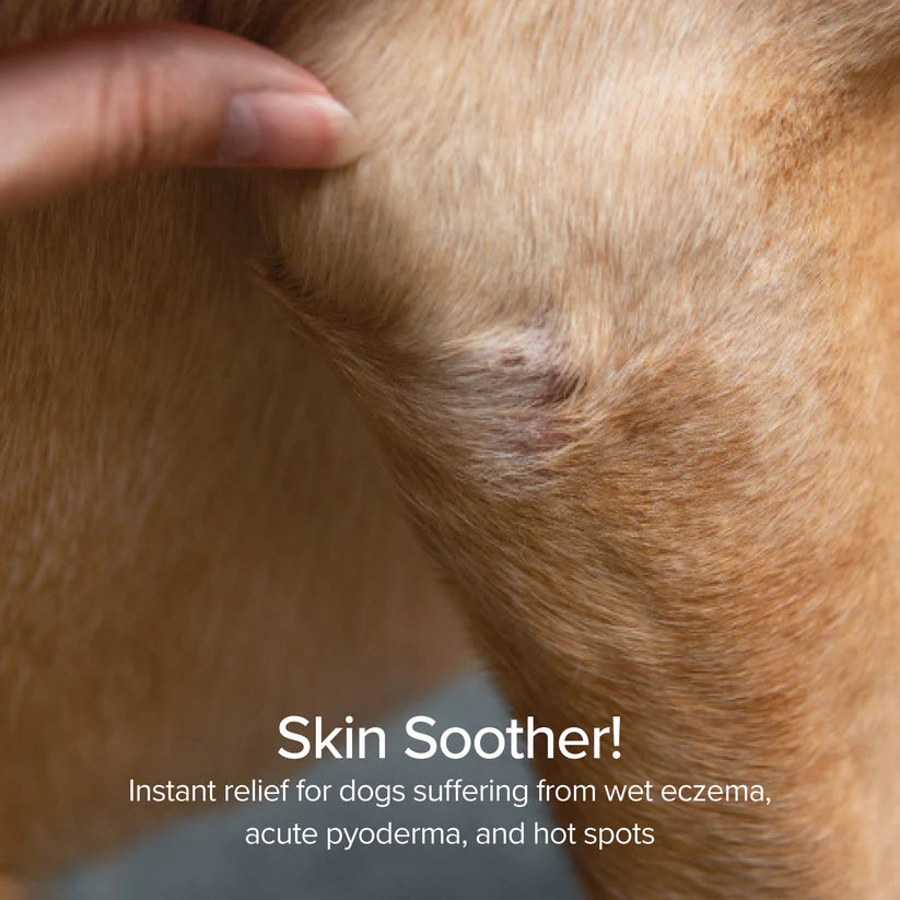 P&NP - Foaming Hot Spot & Itch Relief