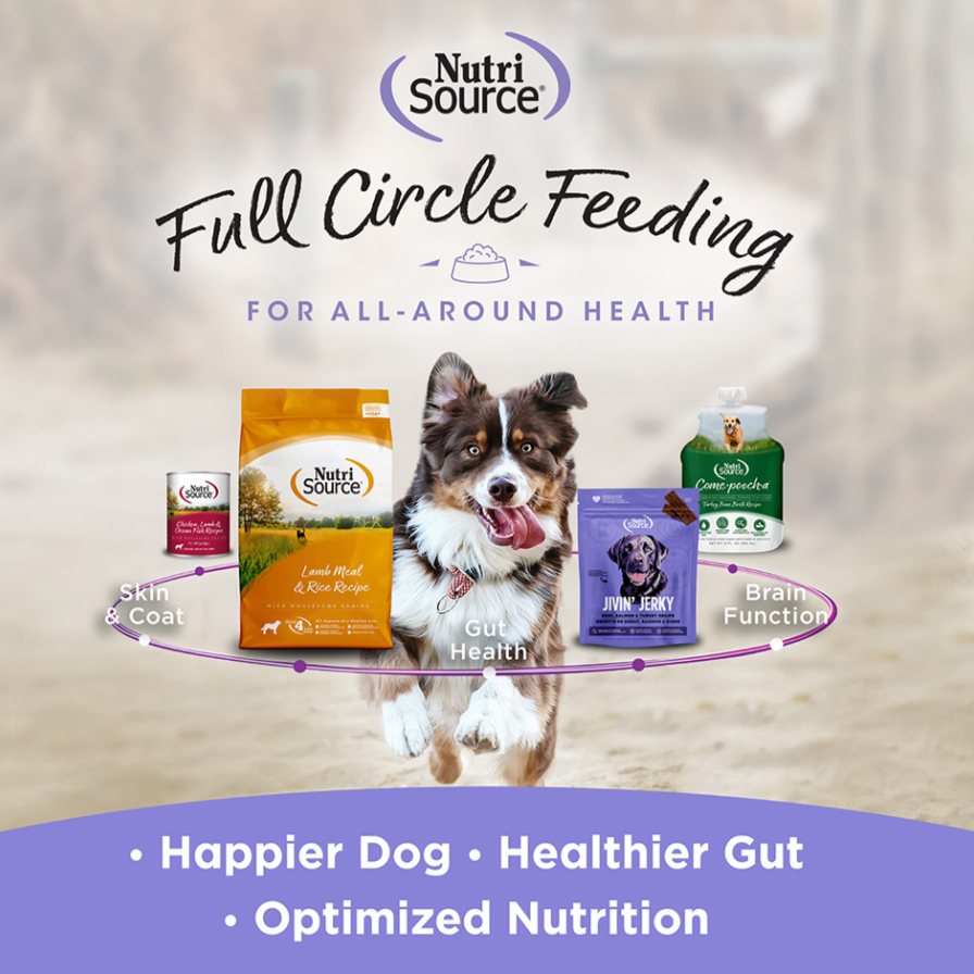 NutriSource Little Bites Salmon Treat 6oz