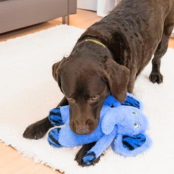 KONG Jungle Jamz Character