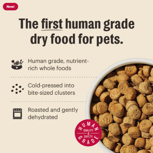 The Honest Kitchen Grain Free Lamb Clusters