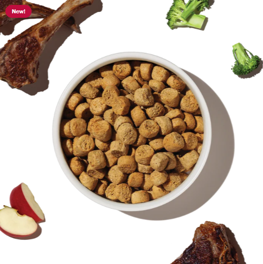 The Honest Kitchen Grain Free Lamb Clusters