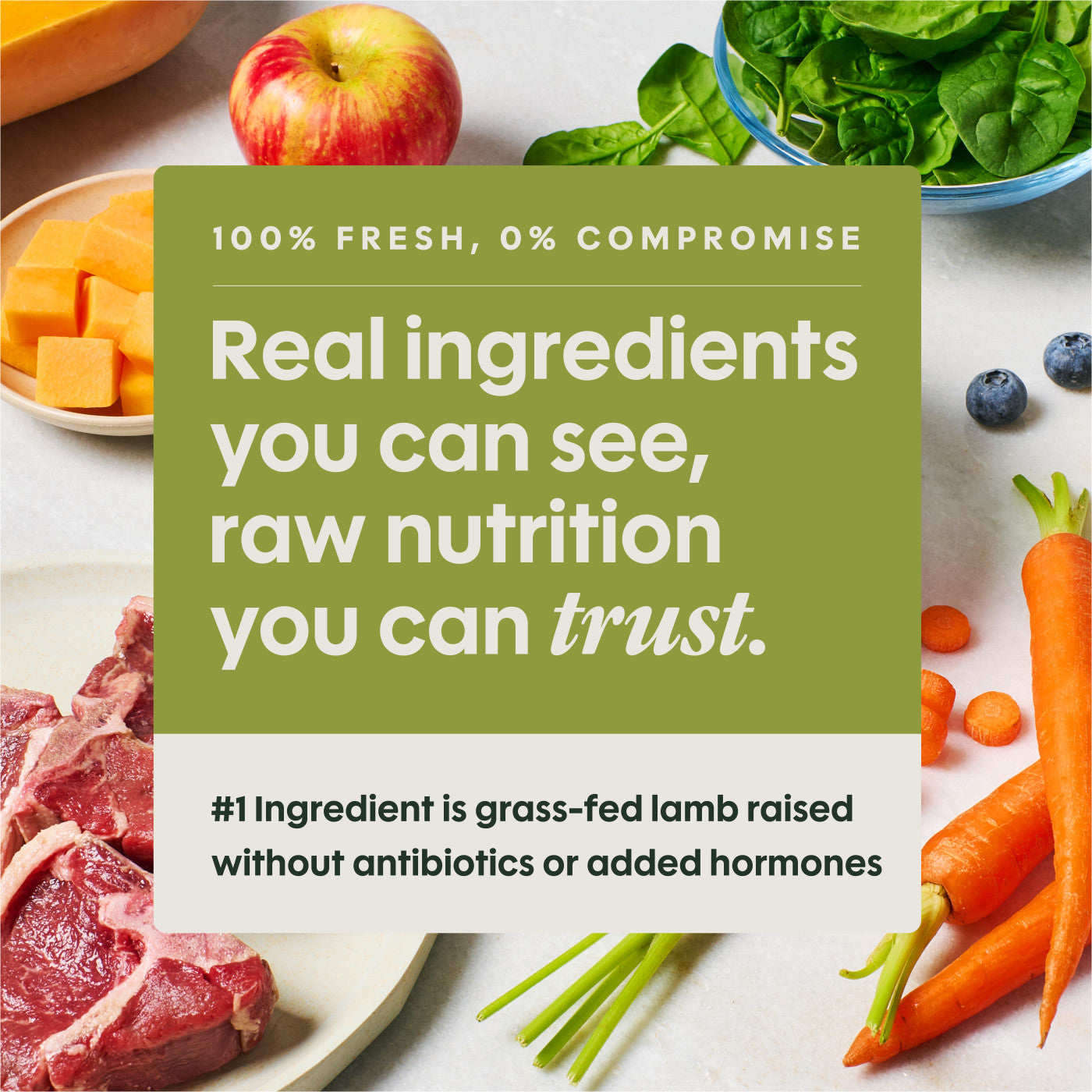 Instinct Fresh Raw Lamb